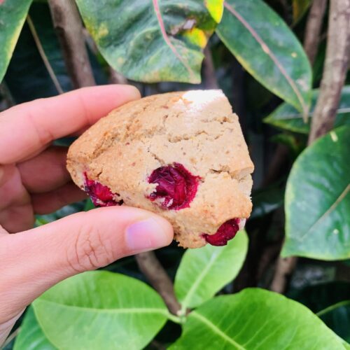 Cranberry Orange Scones